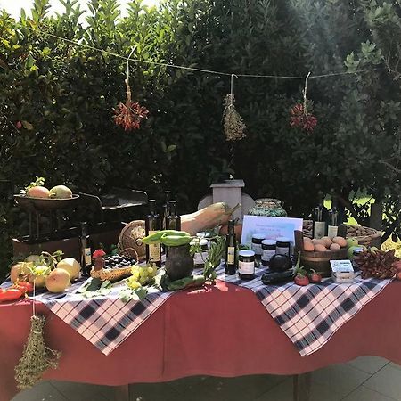 Masseria Vero Bed & Breakfast Palo del Colle ภายนอก รูปภาพ